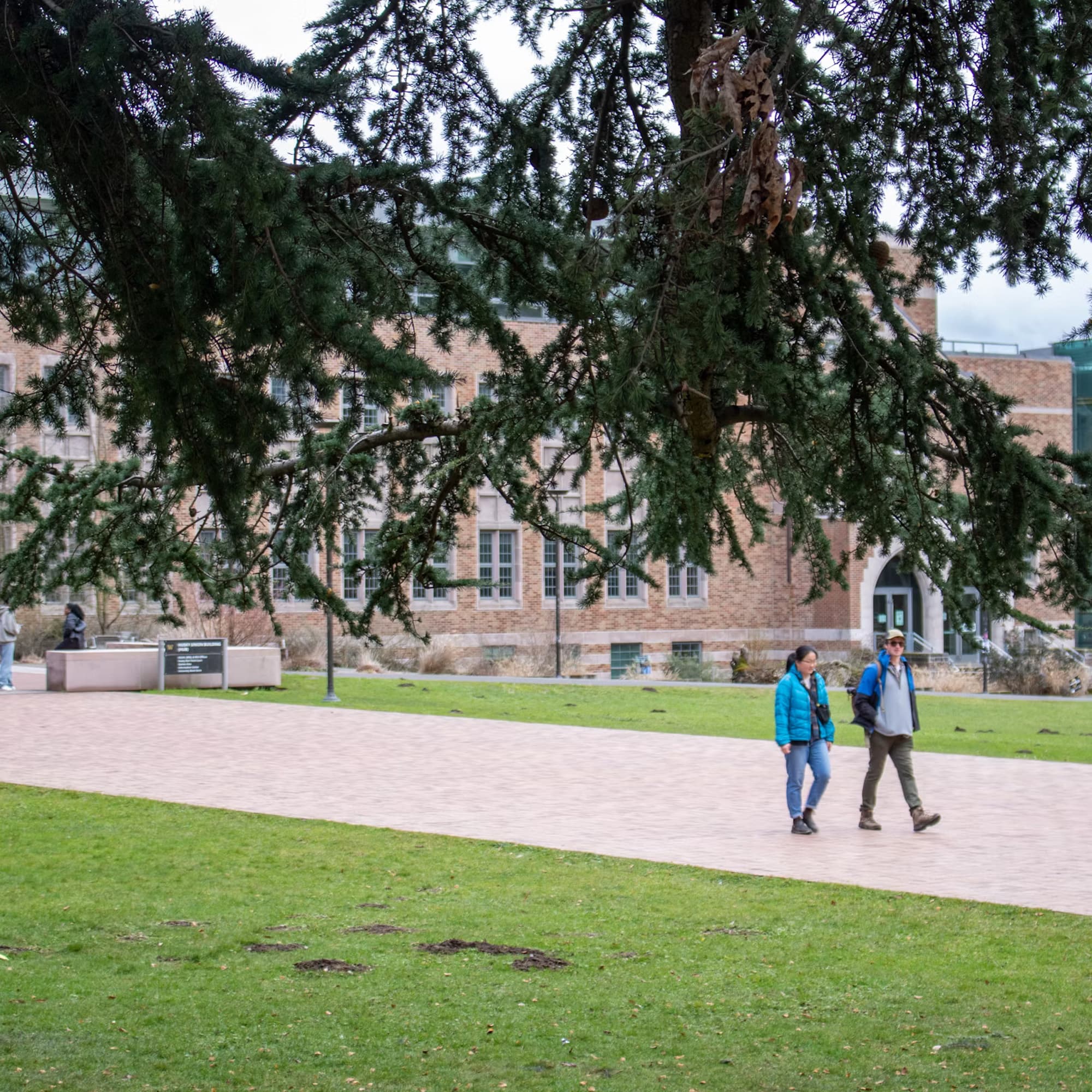 University campus seen from above